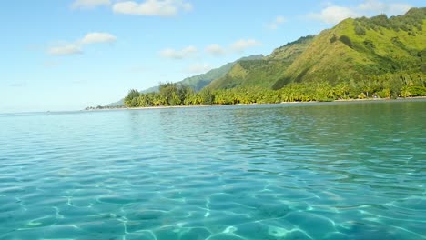 Wunderschönes-Klares-Wasser-In-Moorea,-Französisch-Polynesien-Mit-Dschungel-Im-Hintergrund